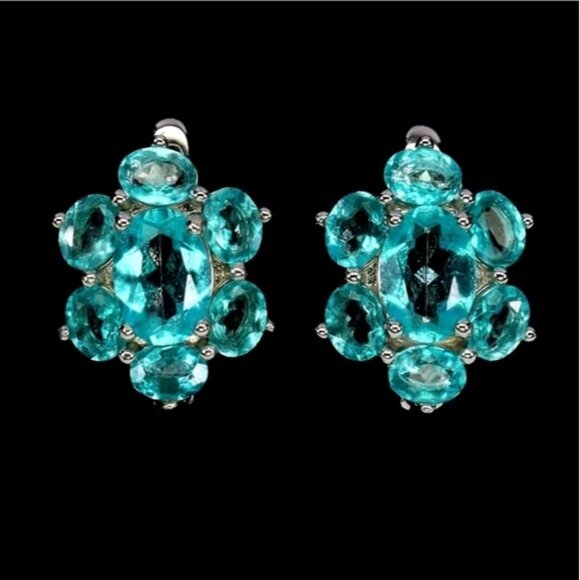 Sunny Jewels USA Jewelry - 925 Sterling Silver Earrings with Natural Paraiba Blue Topaz 7x5mm Gemstone